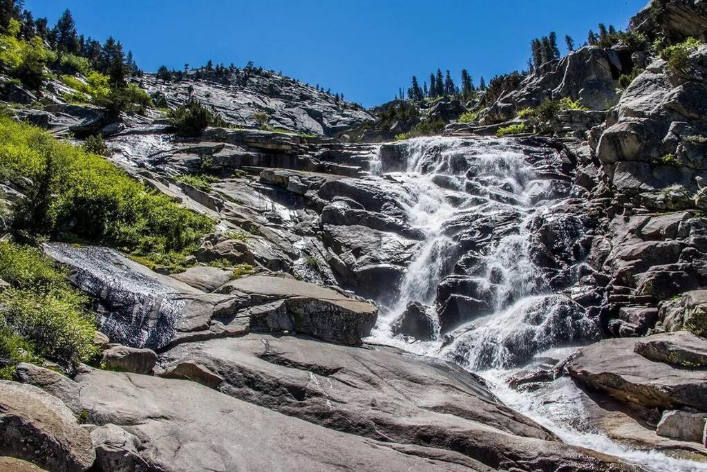 Sequoia Cabin By The River ทรีริเวอร์ส ภายนอก รูปภาพ