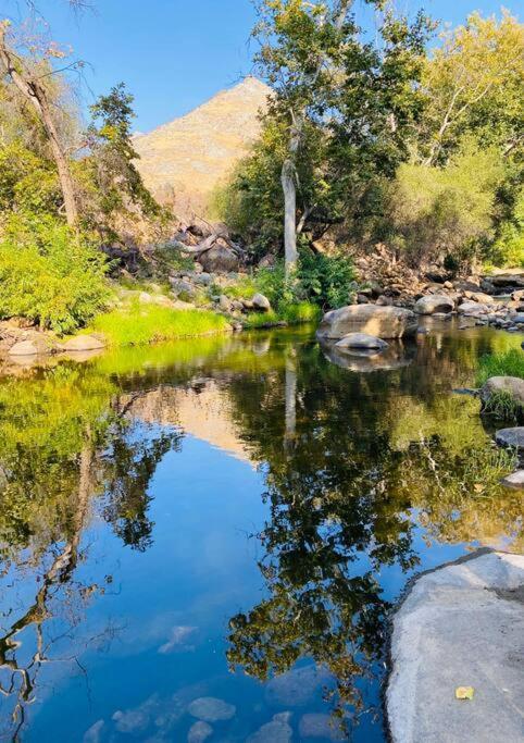 Sequoia Cabin By The River ทรีริเวอร์ส ภายนอก รูปภาพ