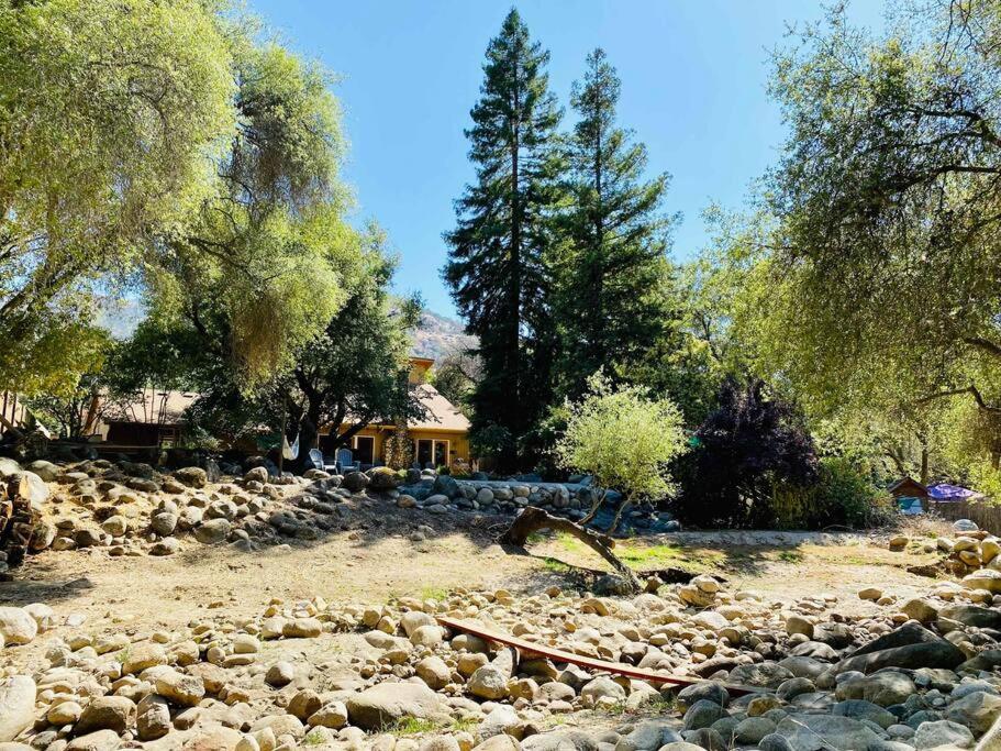 Sequoia Cabin By The River ทรีริเวอร์ส ภายนอก รูปภาพ