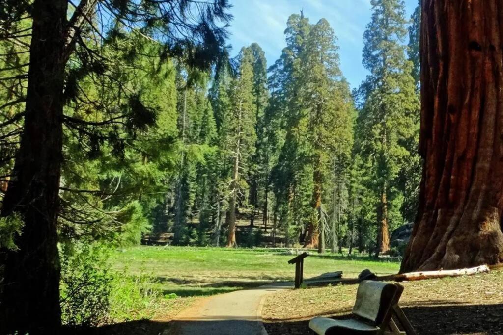 Sequoia Cabin By The River ทรีริเวอร์ส ภายนอก รูปภาพ