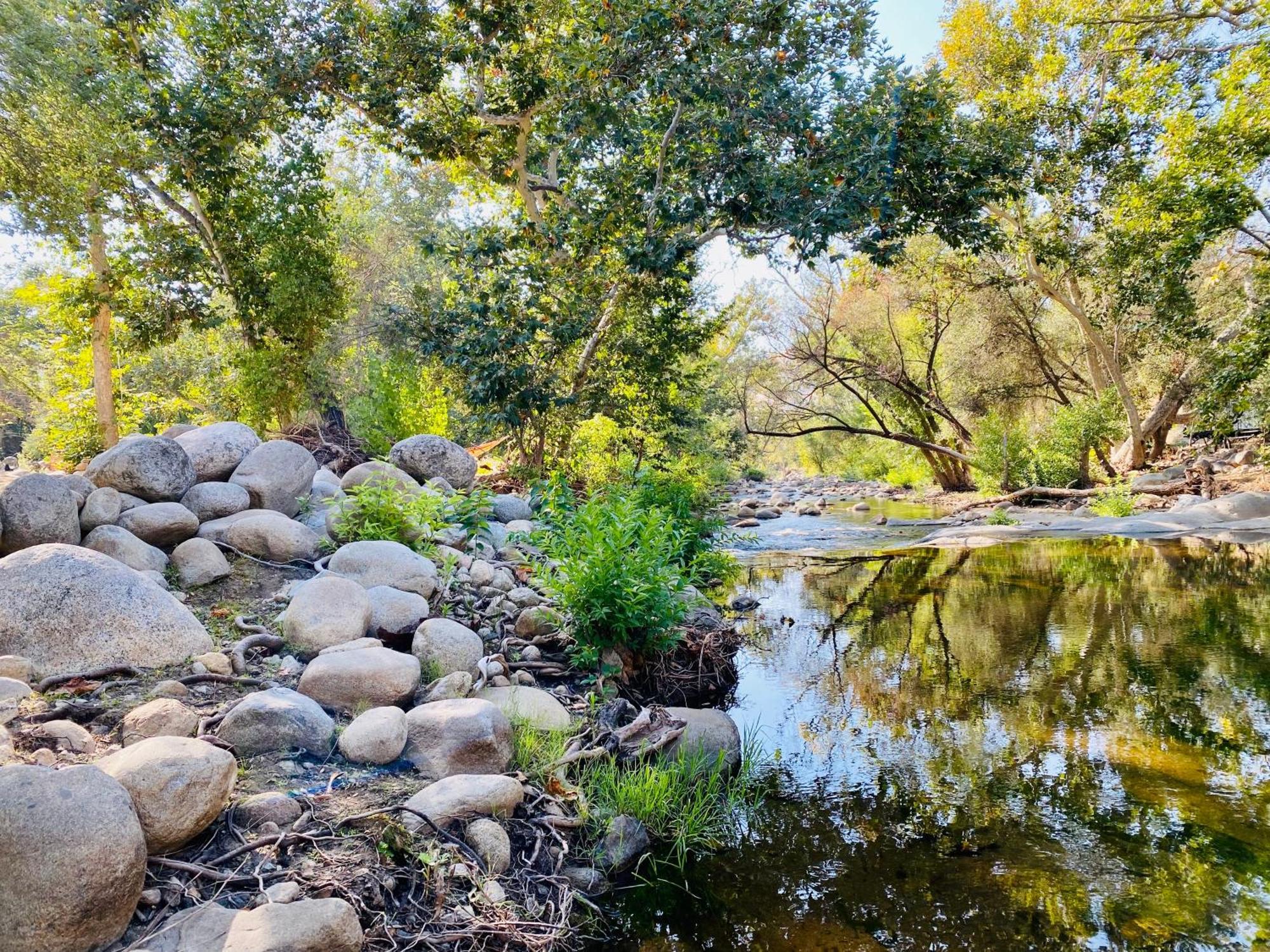 Sequoia Cabin By The River ทรีริเวอร์ส ภายนอก รูปภาพ