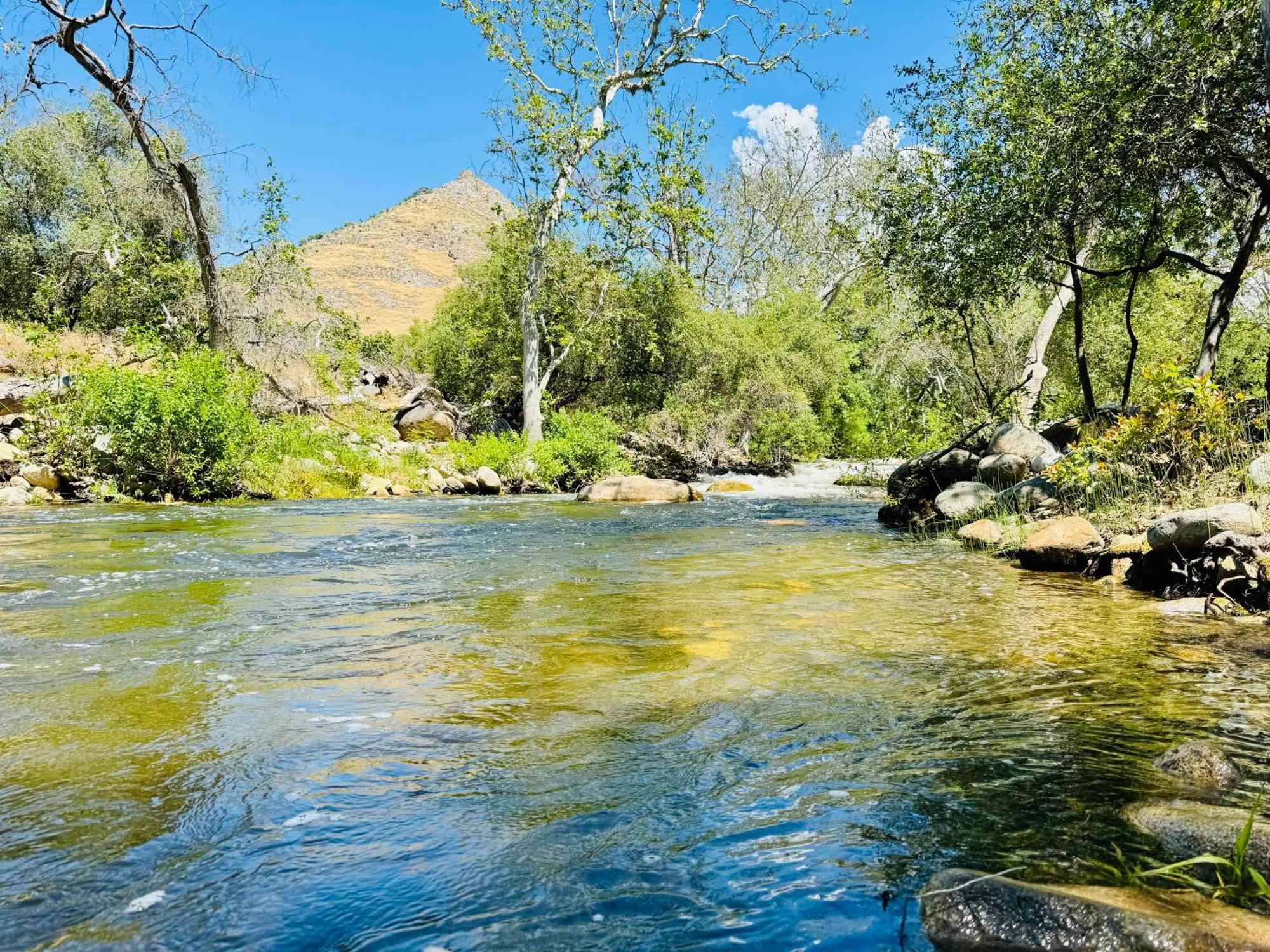 Sequoia Cabin By The River ทรีริเวอร์ส ภายนอก รูปภาพ
